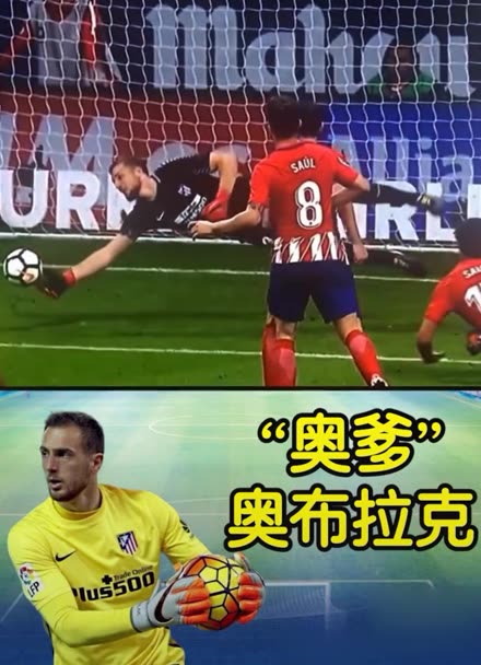 助你理解目