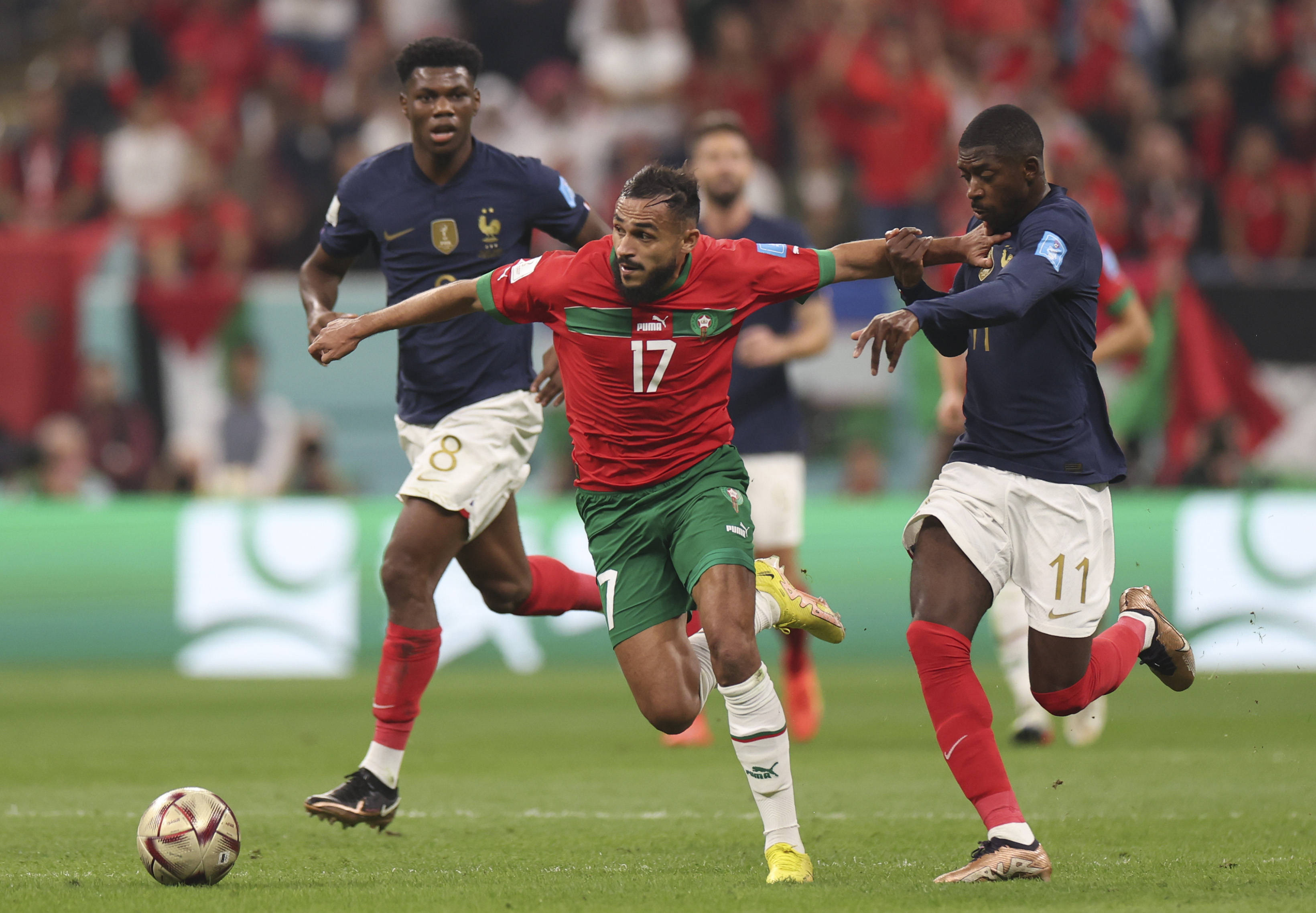 职业巅峰 职业巅峰